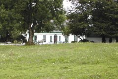 Delamaine08