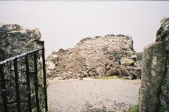 Delamaine42
