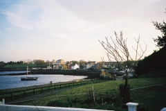 Delamaine53