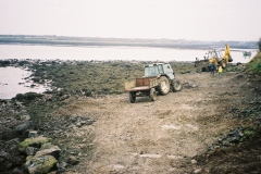 delamaine81